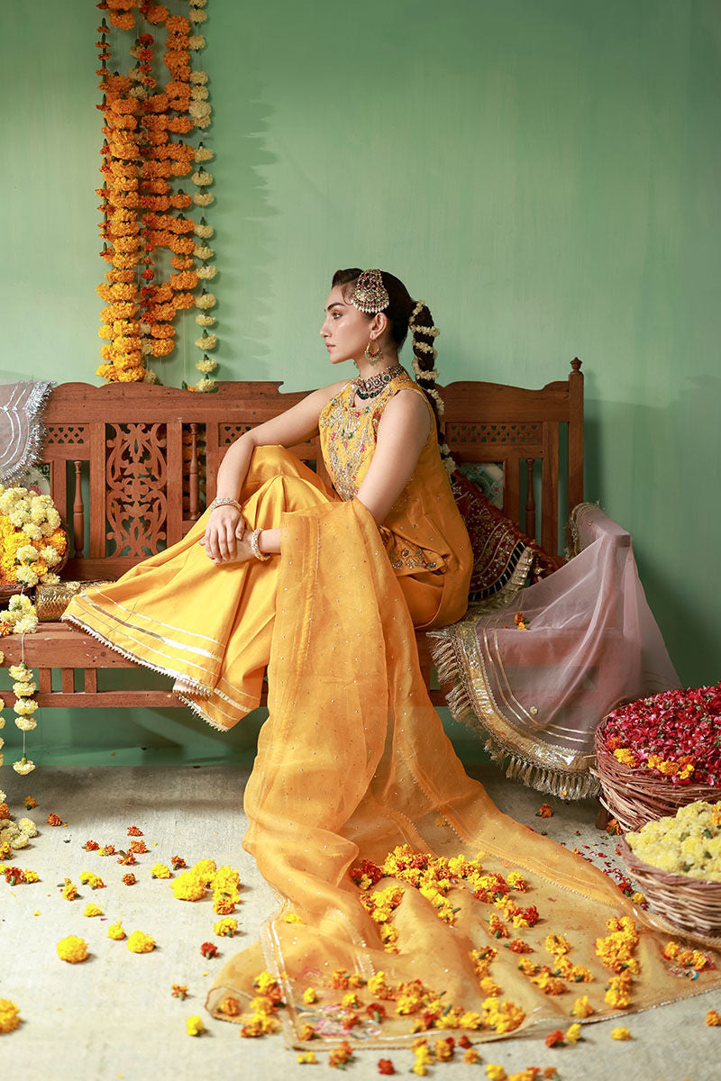 Ansab Jahangir | The Rani Edit | Arooba, image 4