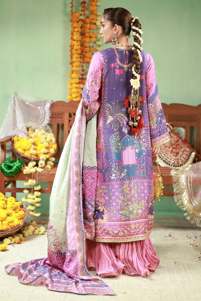 Ansab Jahangir | The Rani Edit | Sunehri-2