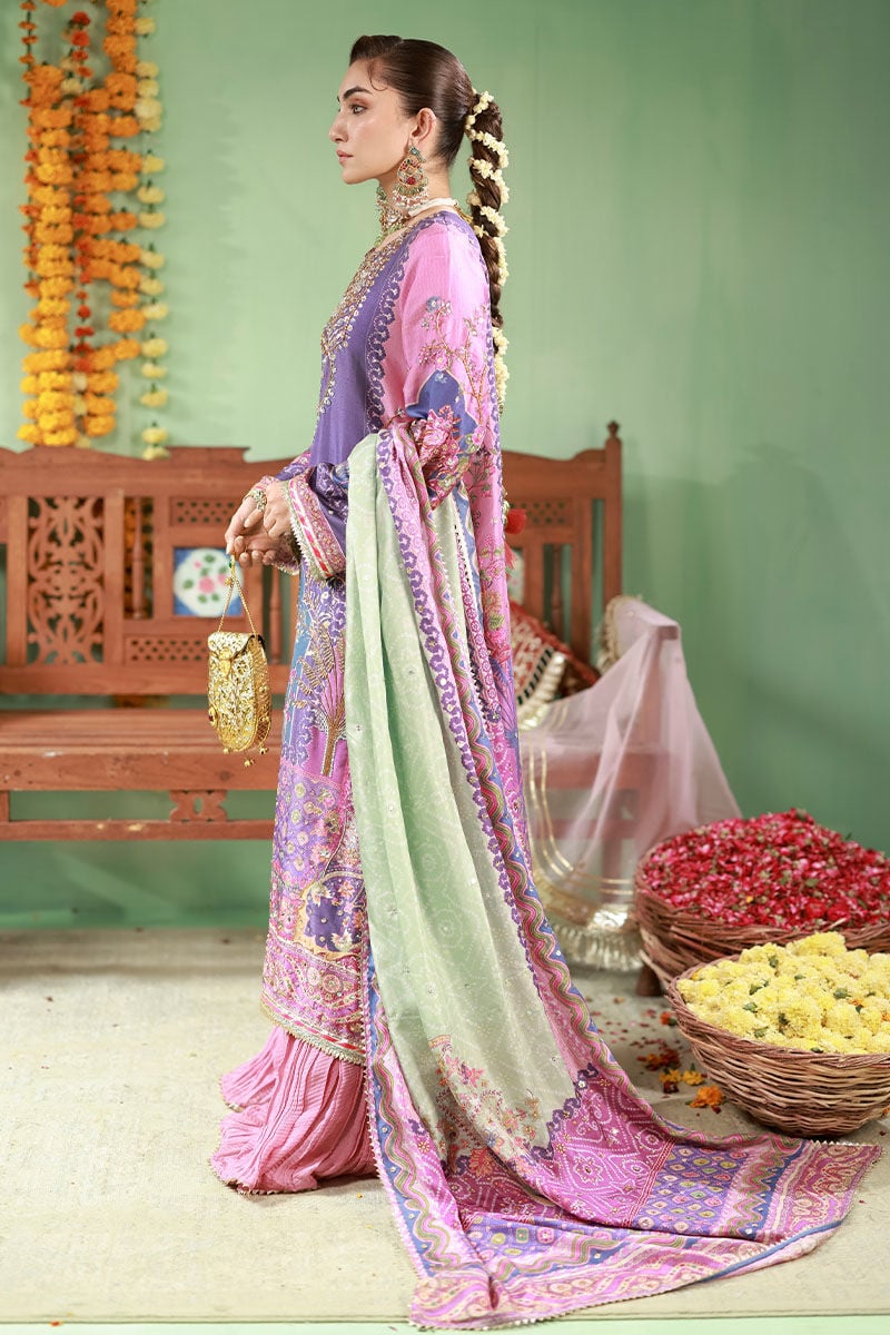 Ansab Jahangir | The Rani Edit | Sunehri-4