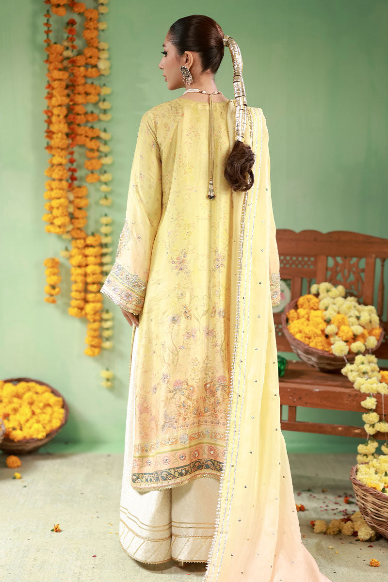 Ansab Jahangir | The Rani Edit | Sahar, image 2