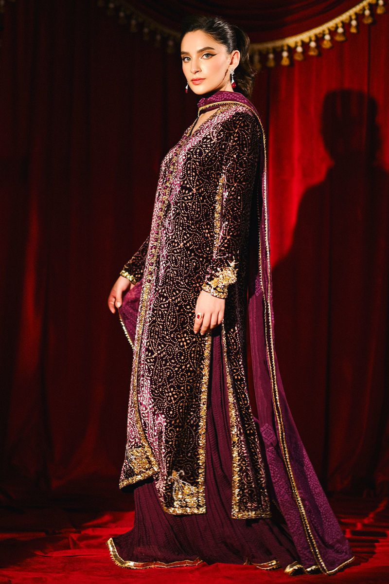 Ansab Jahangir | So Hot Luxury Velvets | Sabeen, image 5