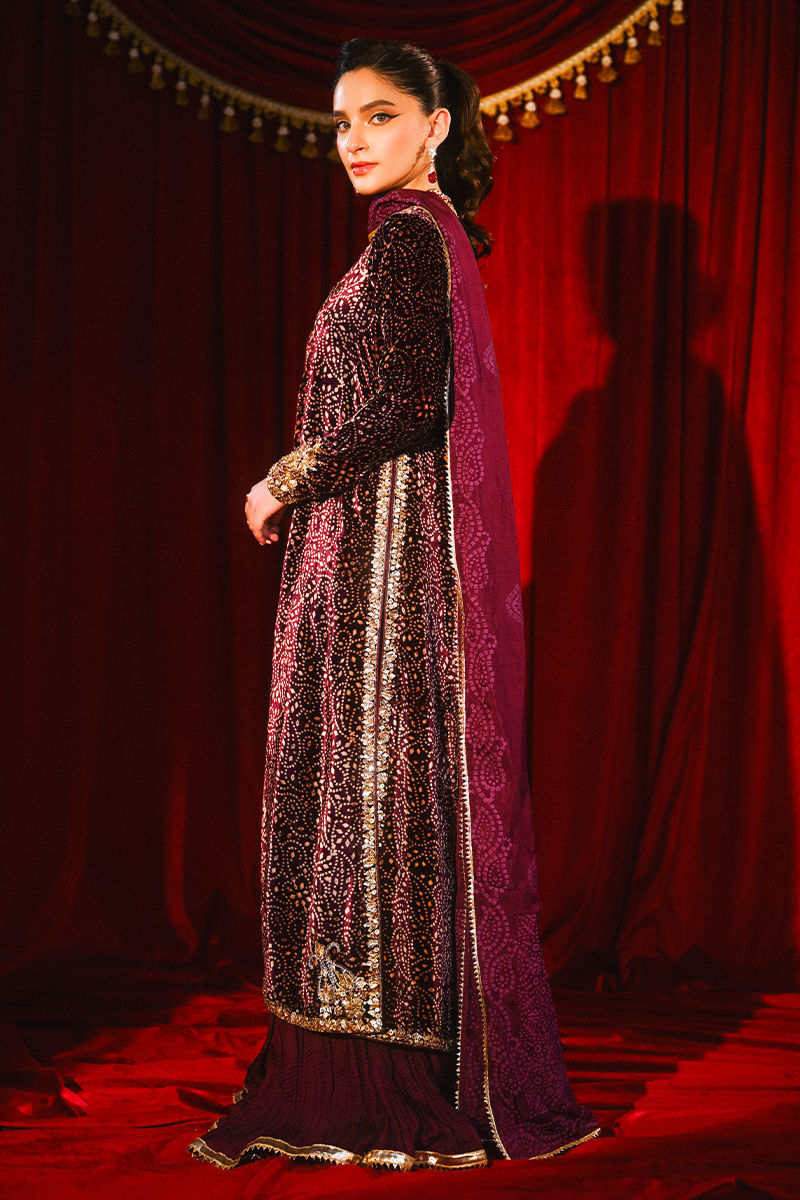 Ansab Jahangir | So Hot Luxury Velvets | Sabeen, image 6