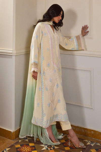 Annus Abrar | Elemental Basics | Avani