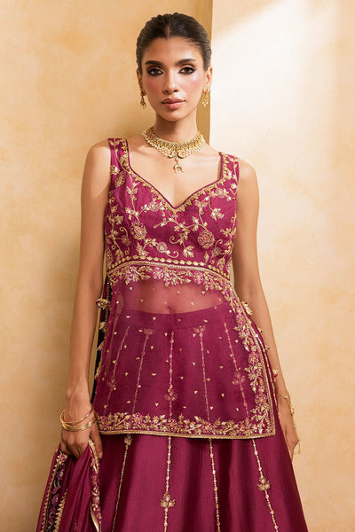 Ansab Jahangir | Artisan Prints 26 |Berry Velour
