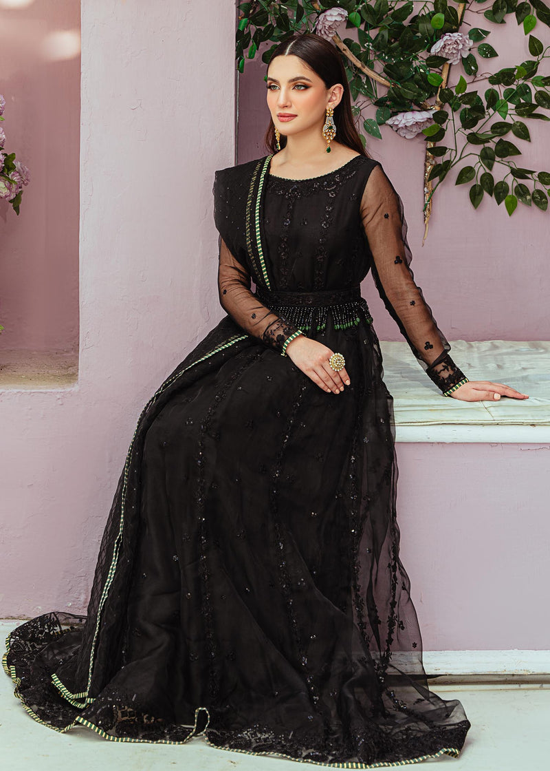 Daud Abbas | Formals Collection | Ziva