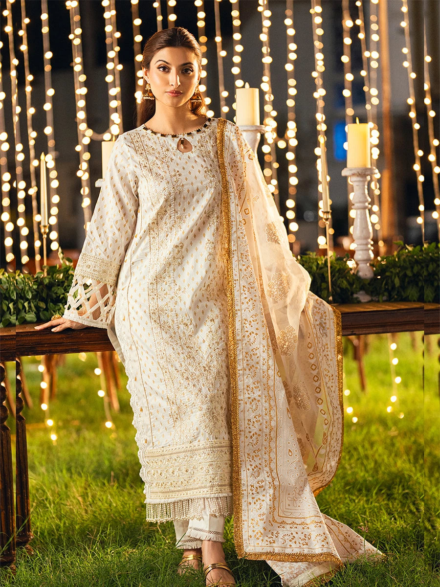 Salitex | Signature Festive Chiffon | UNS25WW004UT -  Salitex Ladies Clothes -  House of Maryam