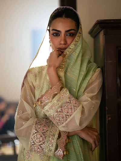 Salitex | Signature Festive Chiffon | SUNW6JI045UT -  Salitex Ladies Clothes - Original Designer Dress - House of Maryam