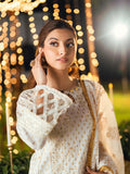 Salitex | Signature Festive Chiffon | UNS25WW004UT -  Salitex Ladies Clothes -  House of Maryam