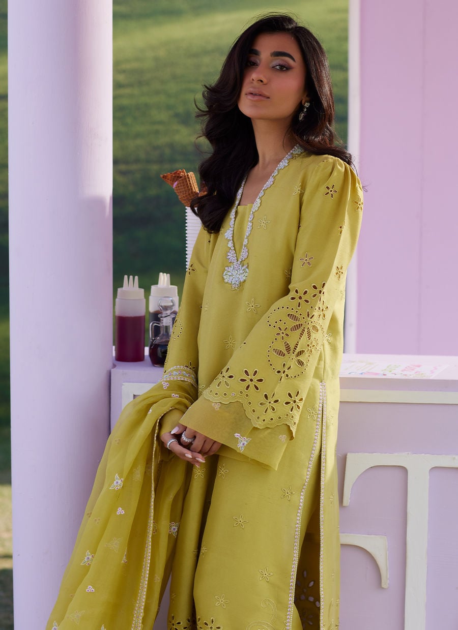 Farah Talib Aziz | Luna Eid 26 | Jayah Shirt And Dupatta, image 3