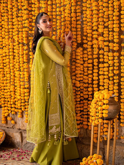 Salitex | Shehnai Festive | No028 -  Salitex Ladies Clothes - Original Designer Dress - House of Maryam