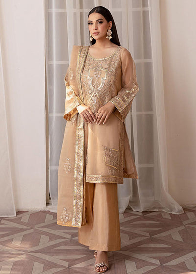 Daud Abbas | Formals Collection | Taskeen -  Daud Abbas Formal - Original Designer Dress - House of Maryam