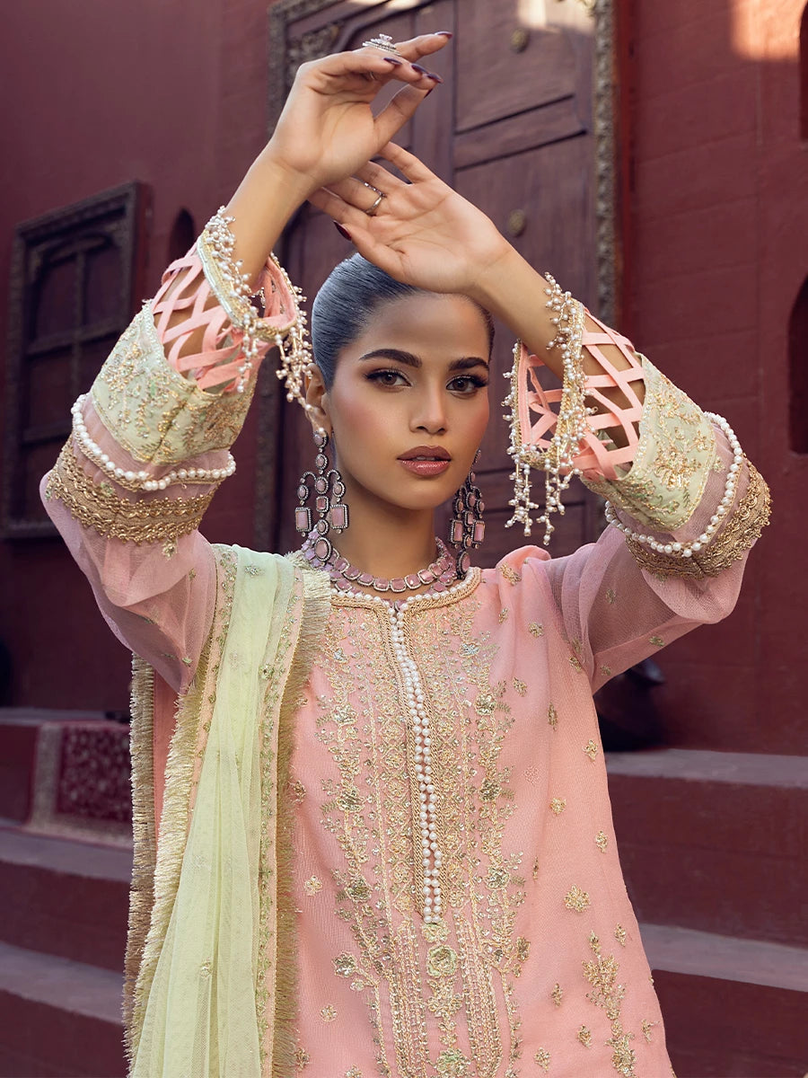 Salitex | Signature Festive Chiffon | SUNW6JI016UT -  Salitex Ladies Clothes - Original Designer Dress - House of Maryam