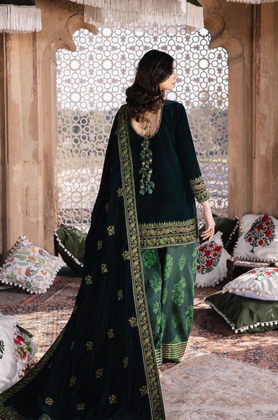 Zarizaa | Mukhtar e Khaas | Najaf