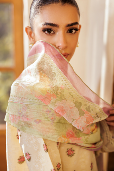 Rajbari | Amari Hybrid Jacquard Edition | Amari Jacquard - 03 -  Rajbari Ladies Clothes - Original Designer Dress - House of Maryam