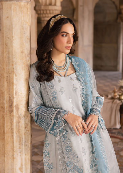 Zarizaa | Almari e Naaz | AMBER, image 4