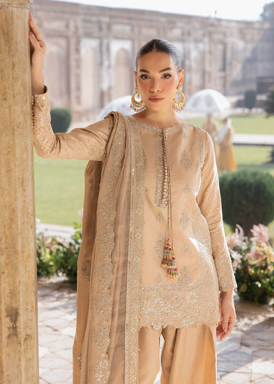 Zarizaa | Almari e Naaz | CHANDAN, image 5