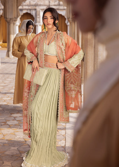 Zarizaa | Almari e Naaz | SABAZKARIYA, image 4