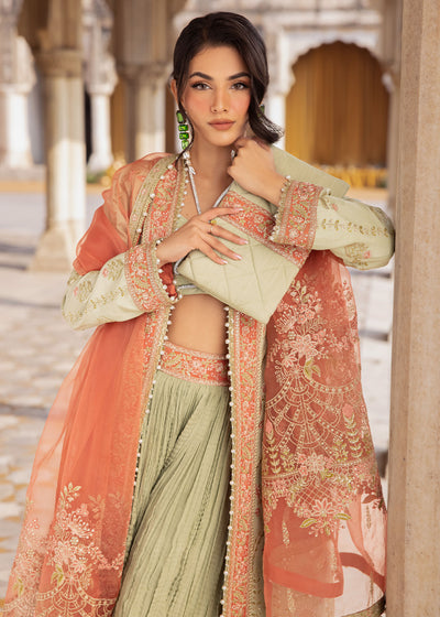 Zarizaa | Almari e Naaz | SABAZKARIYA, image 5