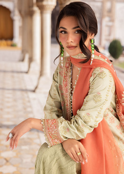 Zarizaa | Almari e Naaz | SABAZKARIYA, image 6