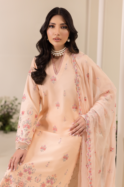 Rajbari | Premium Edition | Embroidered Chiffon Dopatta 04