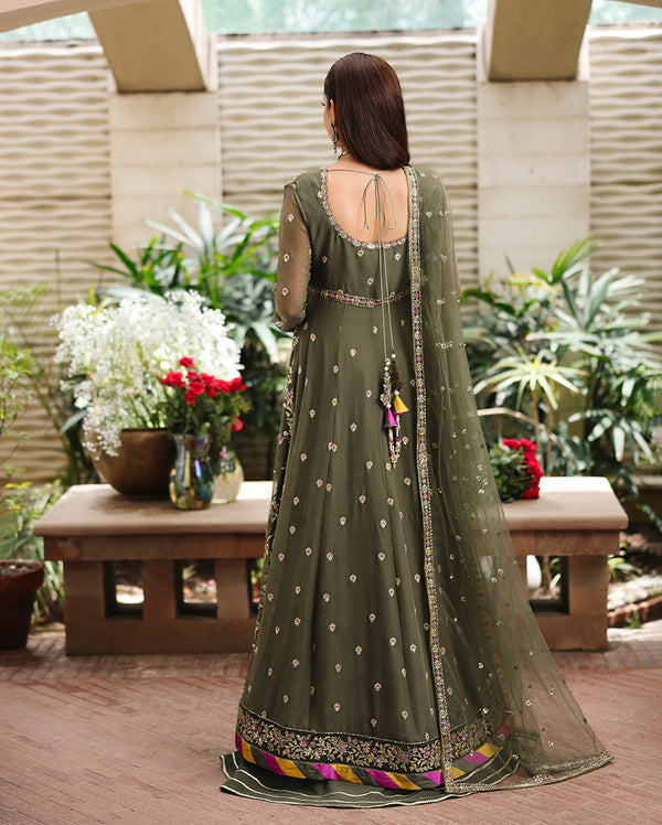 Roheenaz | Aangan Chiffon Collection 25 | Mehwar-2