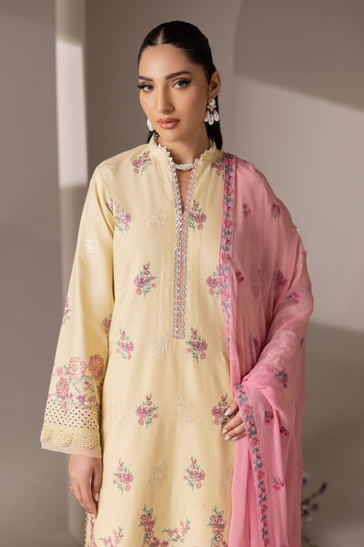 Rajbari | Premium Edition | Embroidered Chiffon Dopatta 09