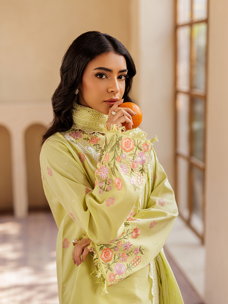 Rajbari | Amari Hybrid Jacquard Edition | Amari Jacquard - 08 -  Rajbari Ladies Clothes - Original Designer Dress - House of Maryam