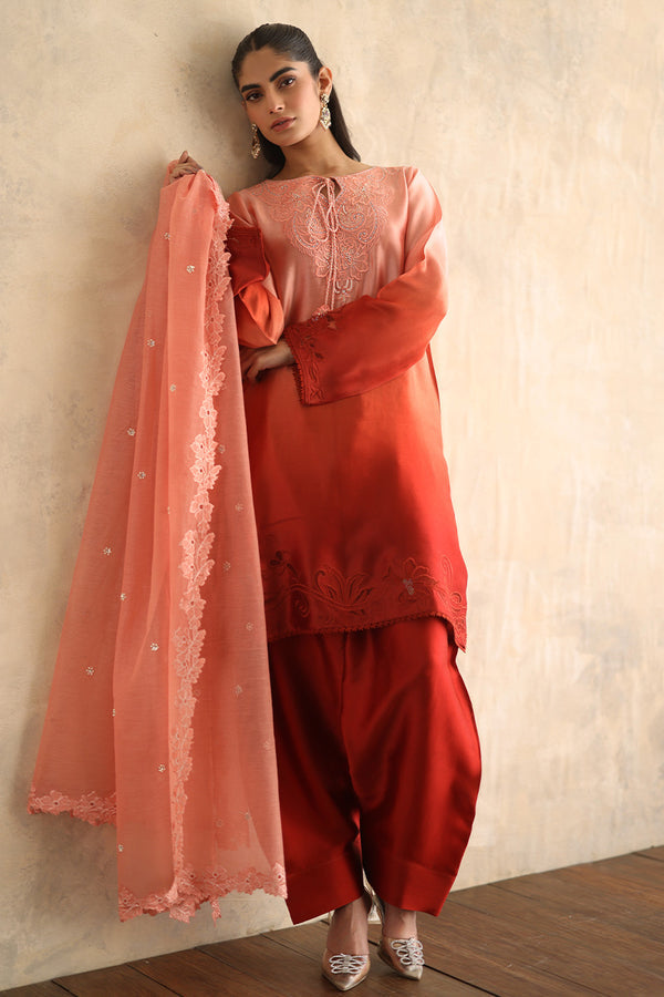 Sana Abbas | Elhan Luxe | APANA -  Sana Abbas Ladies Clothes - Original Designer Dress - House of Maryam