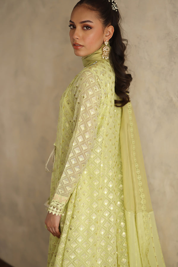 Sana Abbas | Elhan Luxe | SAFA -  Sana Abbas Ladies Clothes - Original Designer Dress - House of Maryam