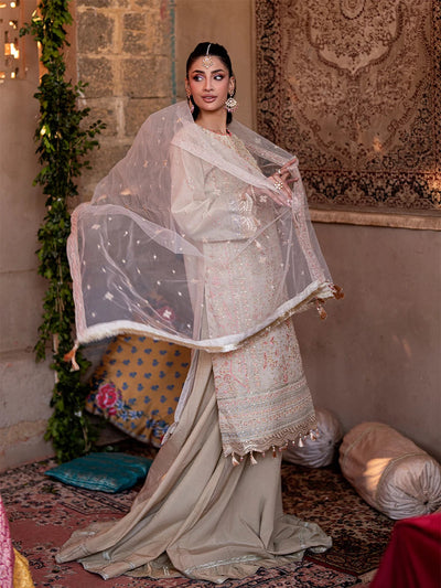 Salitex | Shehnai Festive | No016 -  Salitex Ladies Clothes - Original Designer Dress - House of Maryam
