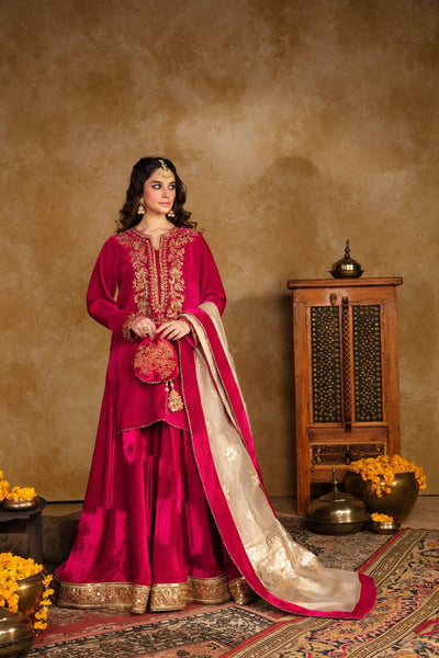 Maya | Raazi Velvet 24 | KASTURI -  Maya Ladies Clothes - Original Designer Dress - House of Maryam