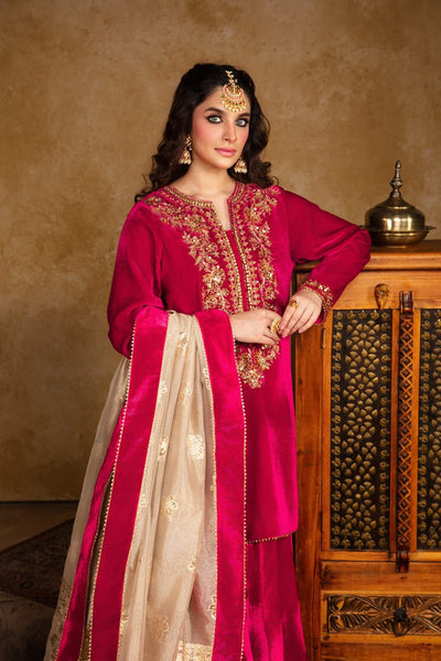 Maya | Raazi Velvet 24 | KASTURI -  Maya Ladies Clothes - Original Designer Dress - House of Maryam