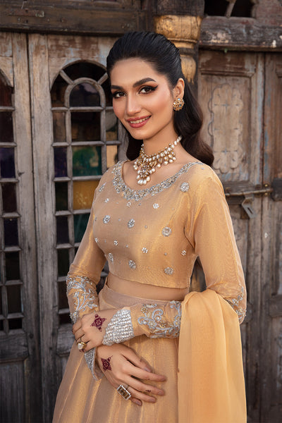 So Kamal | Wedding Festive 24 | MYSTIC -  So Kamal Ladies Clothes - Original Designer Dress - House of Maryam