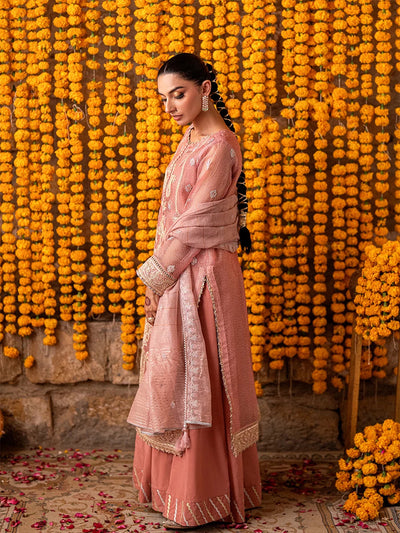 Salitex | Shehnai Festive | No035 -  Salitex Ladies Clothes - Original Designer Dress - House of Maryam