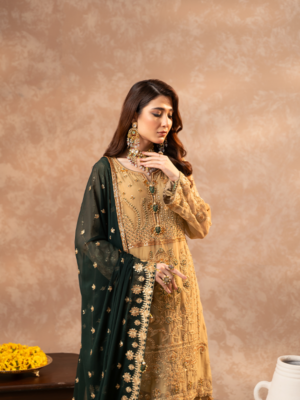 Zebtan | Zeenat Festive Collection | ZN-06 by Designer Zebtan - House of Maryam - Pakistani Designer Ethnic Wear in {{ shop.shopifyCountryName }}