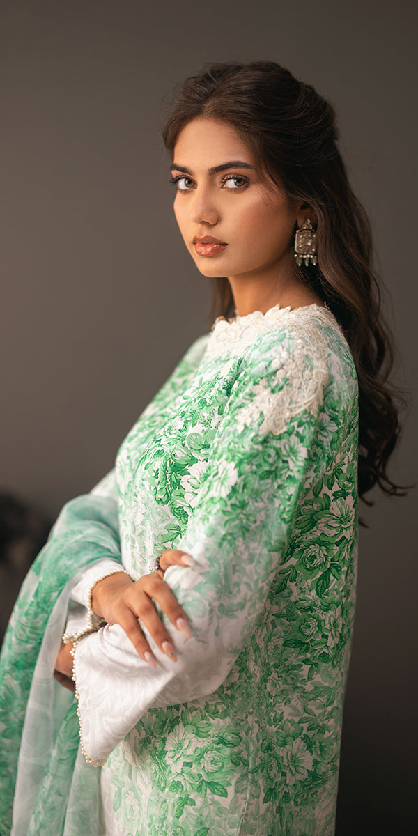 Erum Khan | Beyond Basic | VIVID ELEGANCE -  Erum Khan Ladies Clothes - Original Designer Dress - House of Maryam