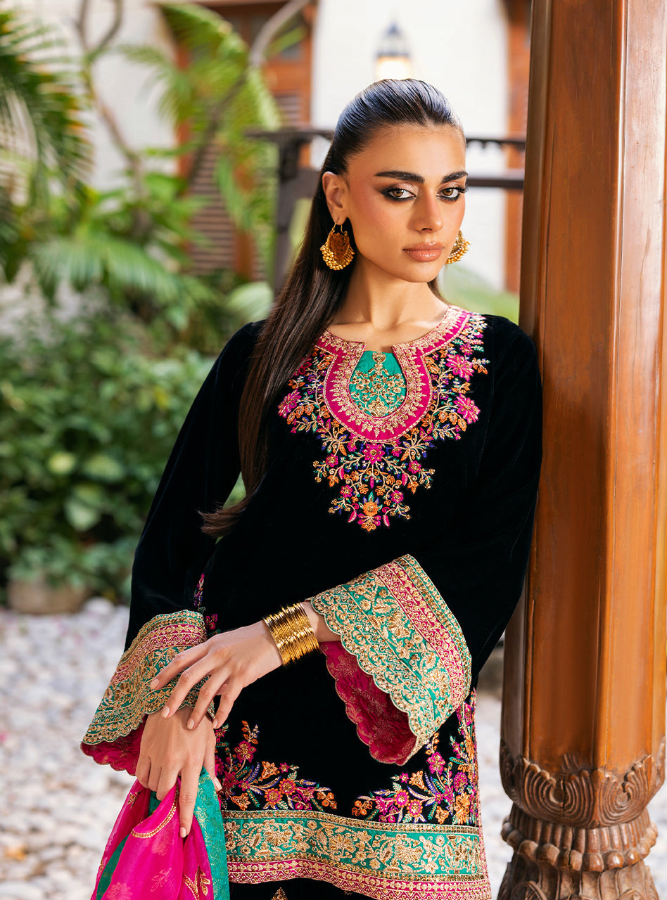 Zainab Chottani | Velvet 25 | Zeba, image 3