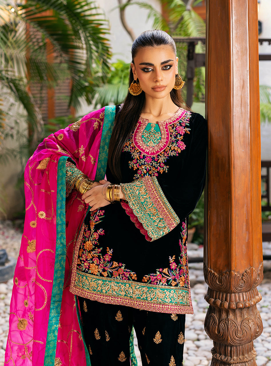 Zainab Chottani | Velvet 25 | Zeba, image 4