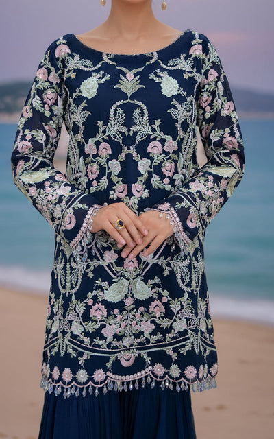 Threads and Motifs | Formal Dresses 25 | Chiffon Embroidered Shirt -  Threads and Motifs Ladies Clothes - Original Designer Dress - House of Maryam