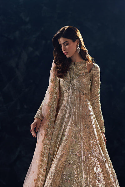 Soraya Reverie gold tissue gown with lehenga, photo 4