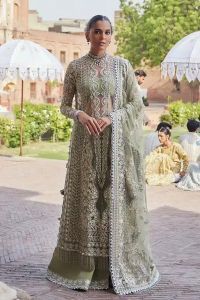 Afrozeh Nigar net formal suit