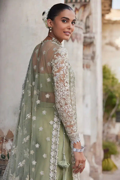 Afrozeh Nigar net formal suit, photo 5