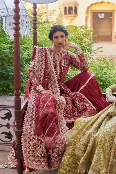 Afrozeh Noor Jehan organza formal suit, photo 4