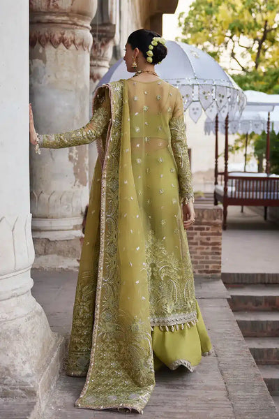 Afrozeh | Dastangoi Wedding Formals | Shehnaz -  Afrozeh Bridal - Original Designer Dress - House of Maryam