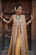 Afrozeh | Dastangoi Wedding Formals | Shafaq by Designer Afrozeh - House of Maryam - Pakistani Designer Ethnic Wear in {{ shop.shopifyCountryName }}