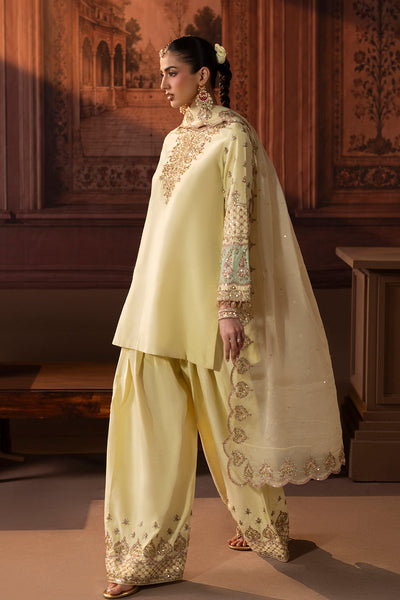 Mina Kashif | Zaib Formals | Noorani