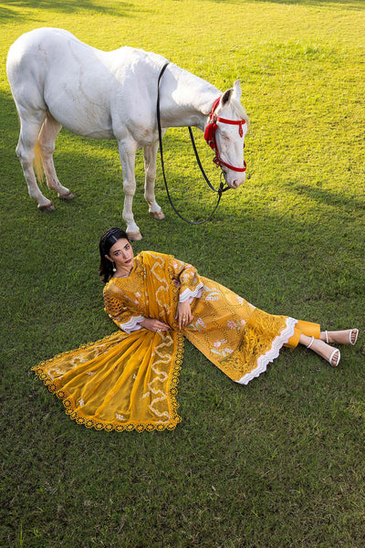 Raeesa Premium | Senorita Formals | SR-001 -  Raeesa Premium Ladies Clothes - Original Designer Dress - House of Maryam