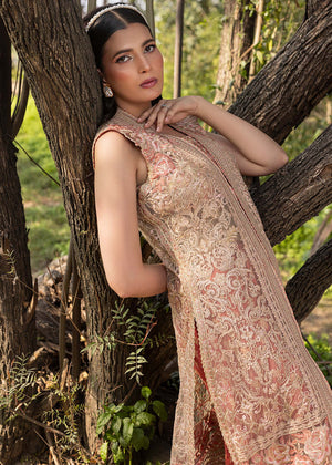 HSY | Summer Edit | Peach Terracotta -  HSY Ladies Clothes - Original Designer Dress - House of Maryam