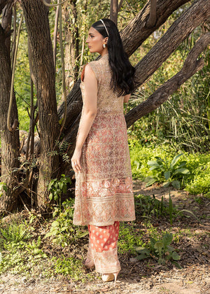 HSY | Summer Edit | Peach Terracotta -  HSY Ladies Clothes - Original Designer Dress - House of Maryam