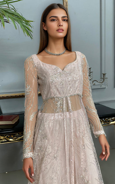 Threads and Motifs | Formal Dresses 25 | Net Embroidered Dress With Skirt -  Threads and Motifs Ladies Clothes - Original Designer Dress - House of Maryam